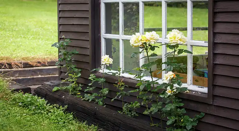 Sommerhus i Tenneville