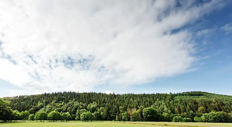 Sommerhus i Tenneville