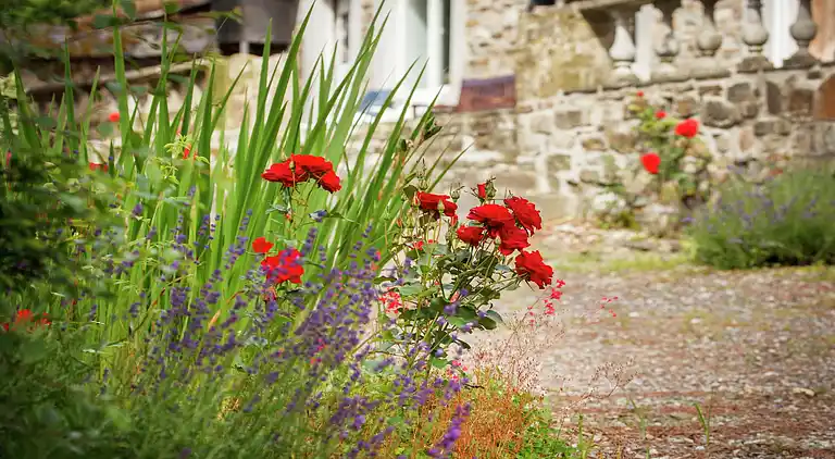 Sommerhus i Tenneville