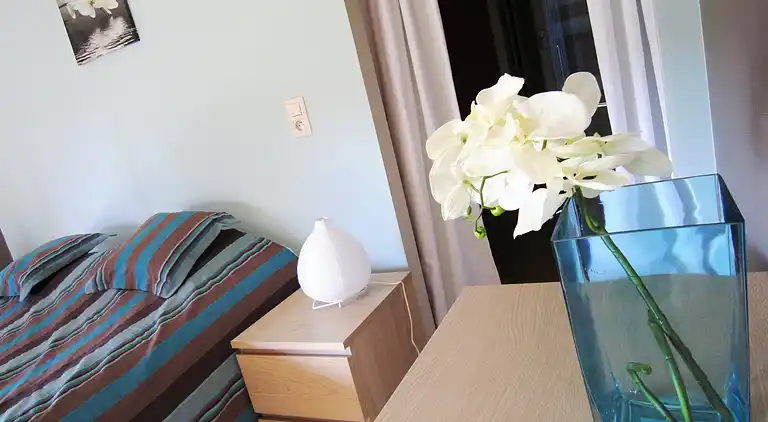 Feriebolig i Bertogne