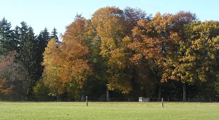 Feriebolig i Bertogne