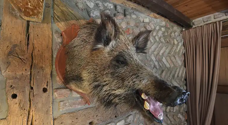 Holiday home in Vielsalm