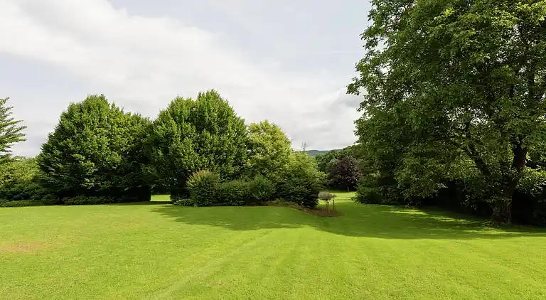 Sommerhus i Vielsalm