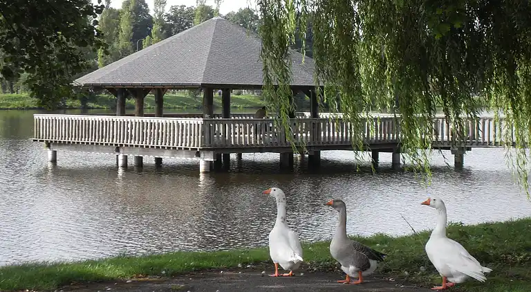 Ferielejlighed i Vielsalm