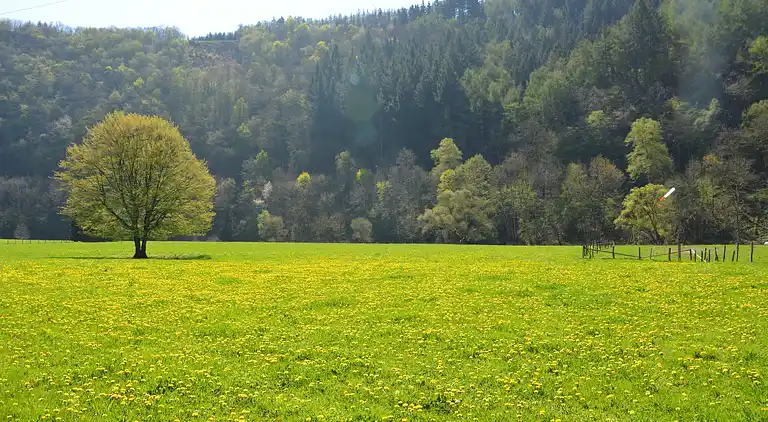 Casa vacanze in Vielsalm