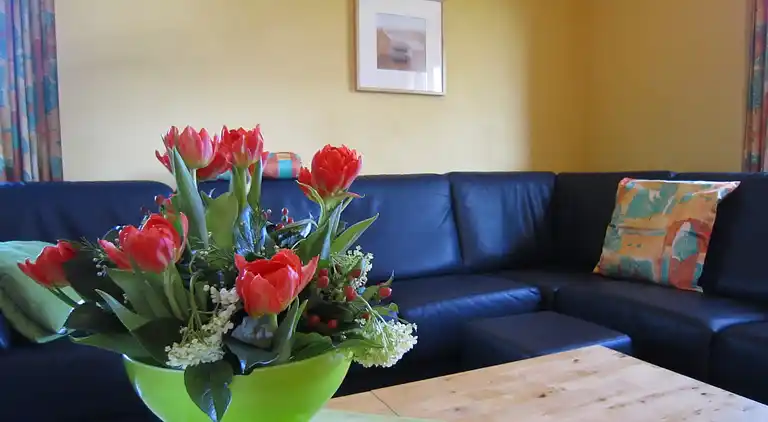 Sommerhus i Petit-Thier