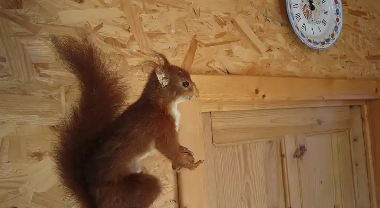 Sommerhus i Petit-Thier