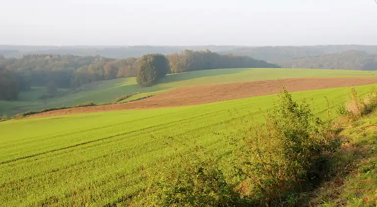 Cottage in Les Bulles