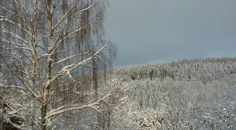Sommerhus i Bouillon