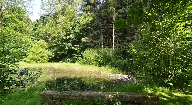 Sommerhus i Noirefontaine