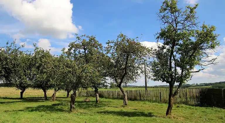 Sommerhus i Grapfontaine