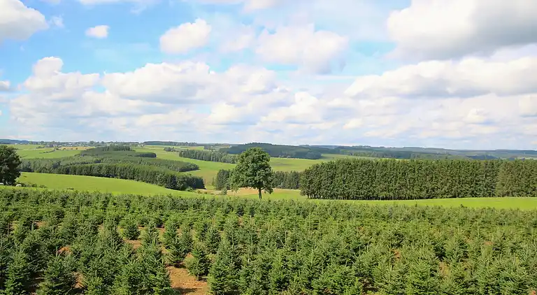 Sommerhus i Grapfontaine