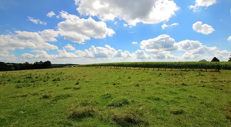Sommerhus i Grapfontaine