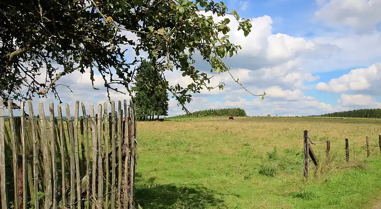 Sommerhus i Grapfontaine
