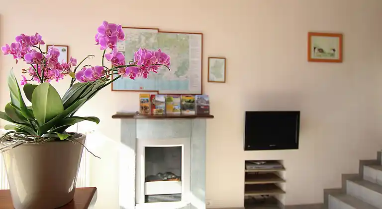 Stuga i Saint-Hubert