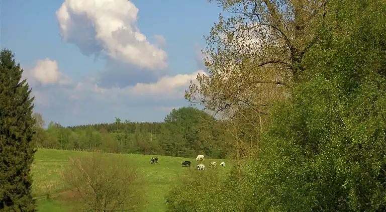 Sommerhus i Jehonville