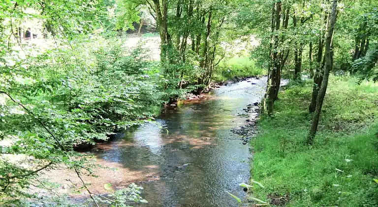 Sommerhus i Jehonville