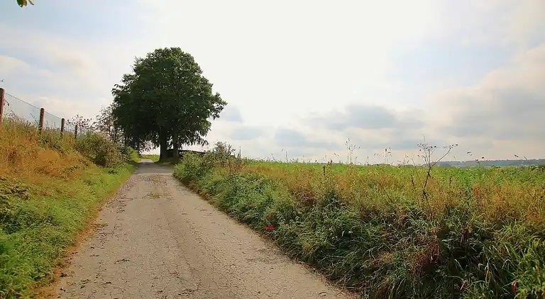 Cottage in Jehonville