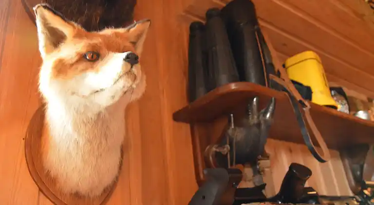 Feriebolig i Herbeumont