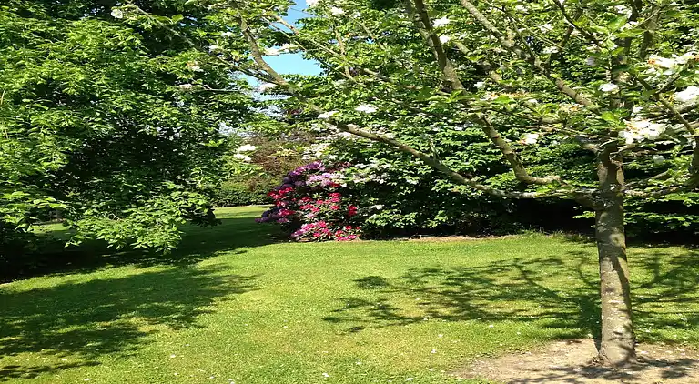 Holiday home in Libin