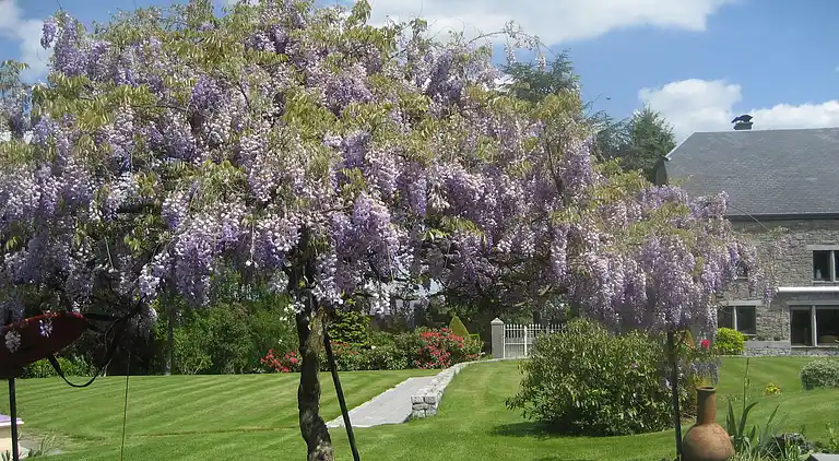 Sommerhus i Marche-en-Famenne