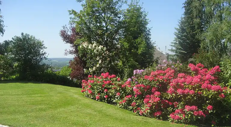 Sommerhus i Marche-en-Famenne