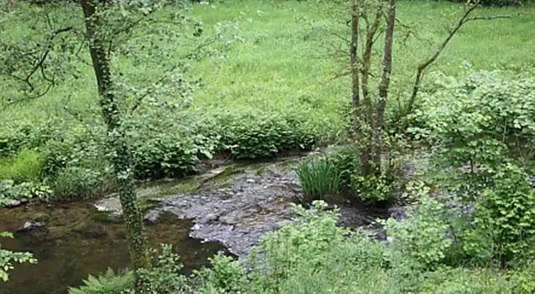 Cottage in Daverdisse