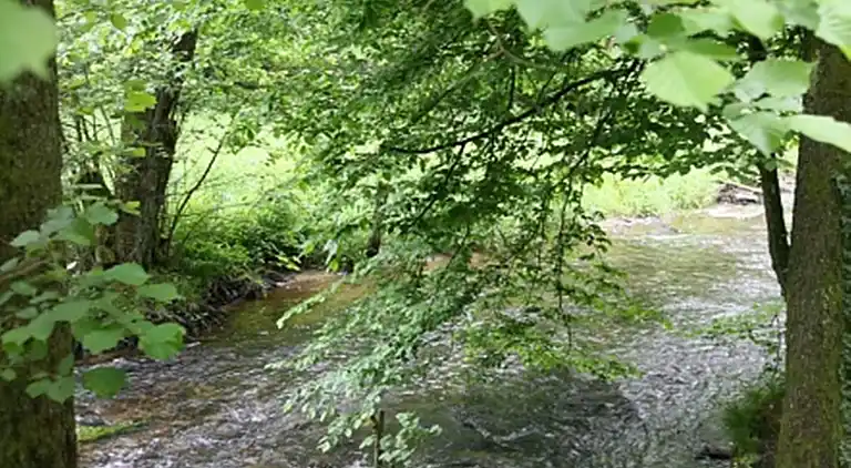 Cottage in Daverdisse