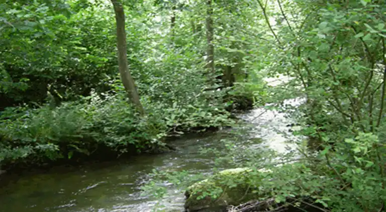 Cottage in Daverdisse