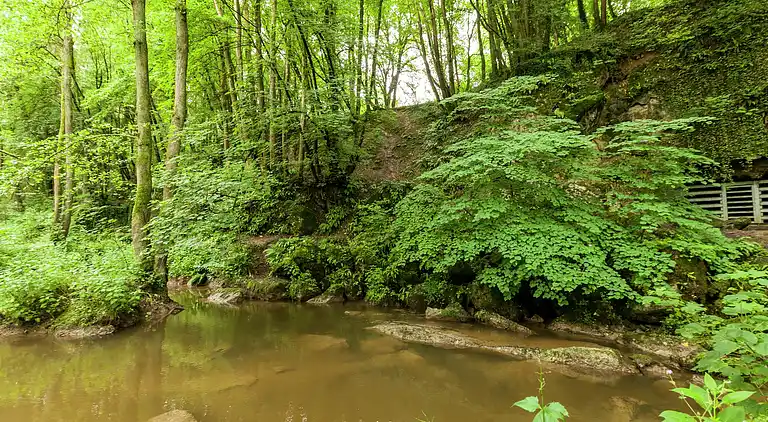 Ferielejlighed i Barvaux-sur-Ourthe