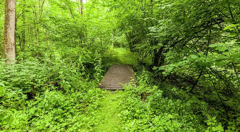 Ferielejlighed i Barvaux-sur-Ourthe