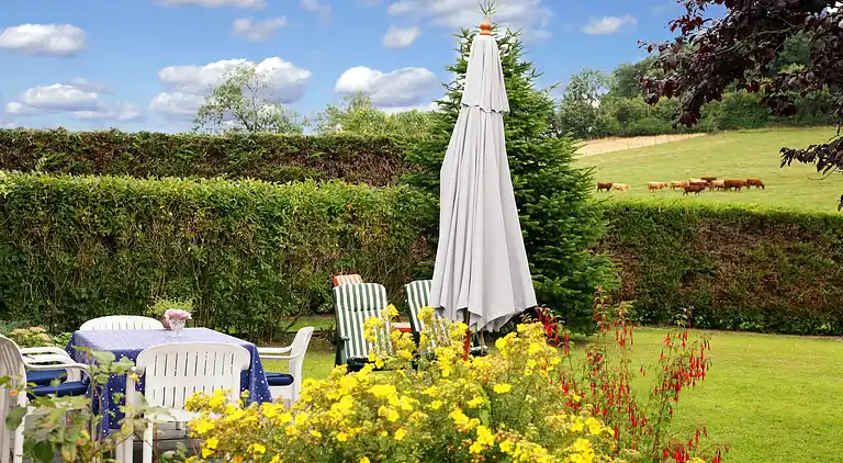 Sommerhus i Lesterny