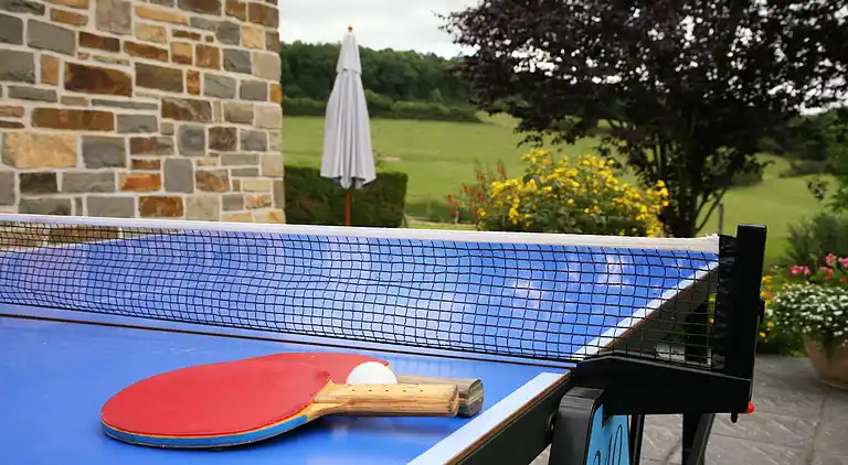 Sommerhus i Lesterny