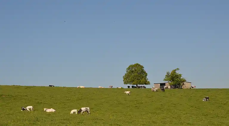 Sommerhus i Forrières