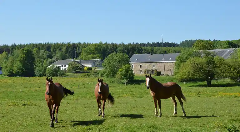 Sommerhus i Forrières