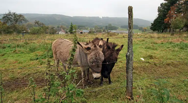 Gårdhus i Malempré