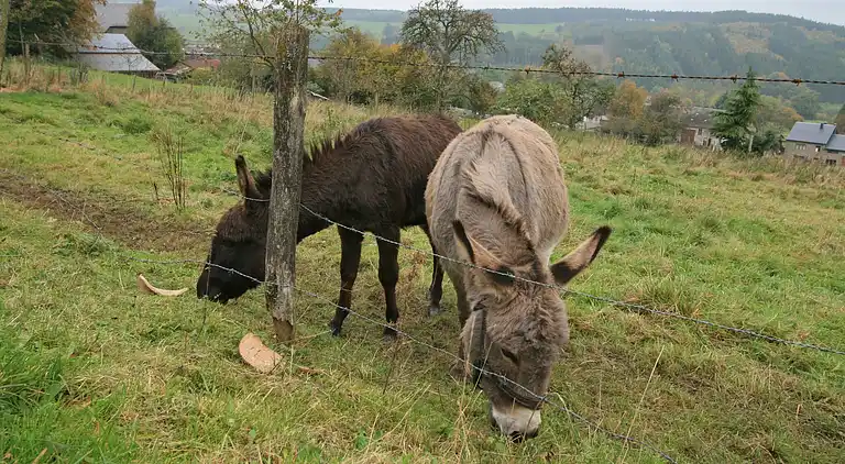 Gårdhus i Malempré