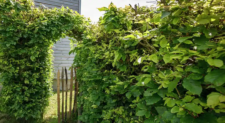 Cottage in Vaux-Chavanne