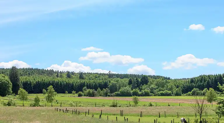 Cottage in Vaux-Chavanne