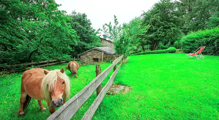 Cottage in La Roche-en-Ardenne