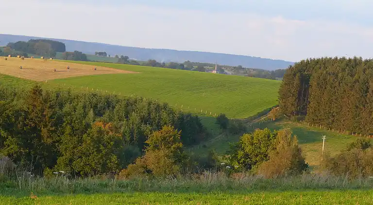 Cottage in La Roche-en-Ardenne