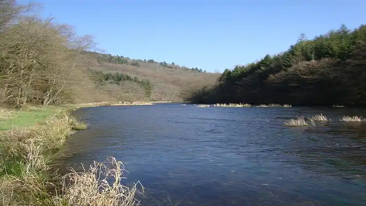 Sommerhus i La Roche-en-Ardenne