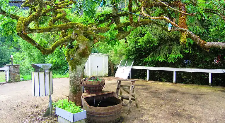 Holiday home in Samrée