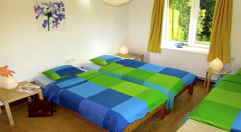 Manor house in Ortho