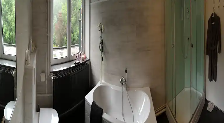 Manor house in Ortho