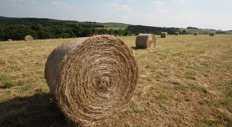 Holiday home in La Roche-en-Ardenne