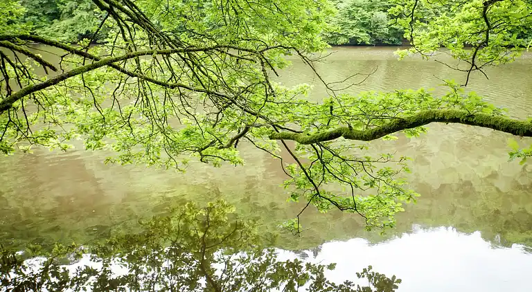 Holiday home in La Roche-en-Ardenne