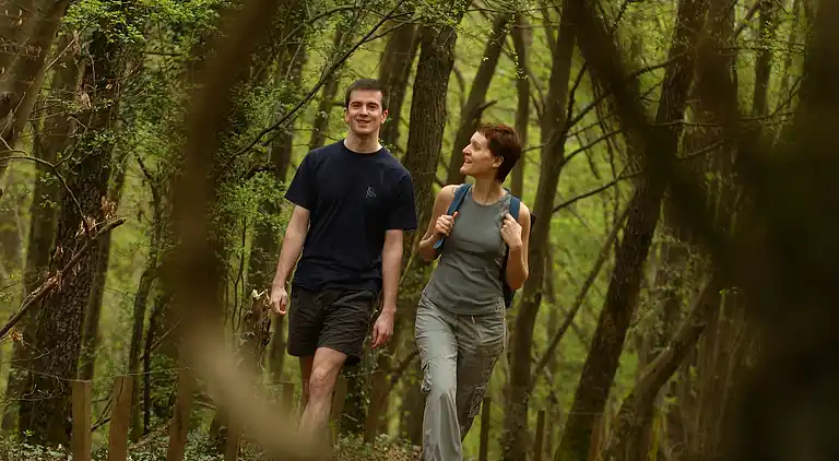 Holiday home in Hotton