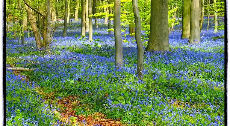 Casa vacanze in Ellezelles