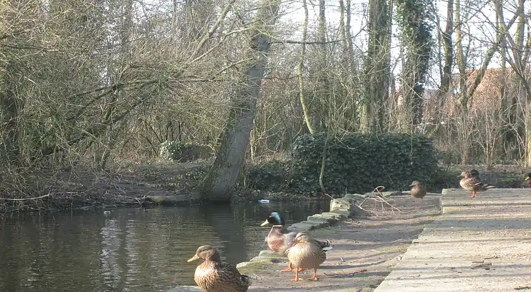 Ferielejlighed i Bredene